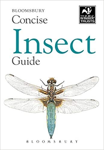indir Concise Insect Guide (The Wildlife Trusts)