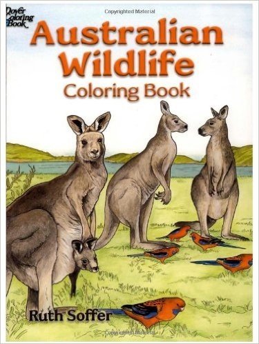 Australian Wildlife Coloring Book