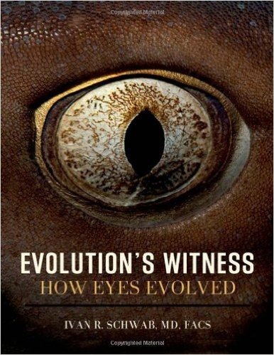 Evolution's Witness: How Eyes Evolved