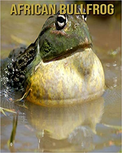 African Bullfrog: Fun Learning Facts About African Bullfrog