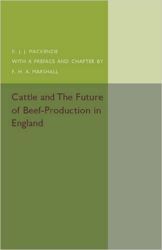 Cattle and the Future of Beef-Production in England
