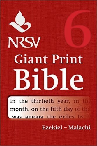 NRSV Giant Print Bible: Volume 6, Ezekiel Malachi
