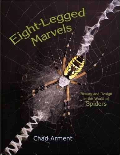 Eight-Legged Marvels: Beauty and Design in the World of Spiders