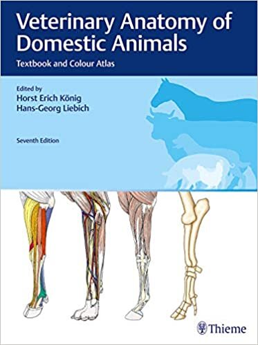 indir Veterinary Anatomy of Domestic Animals: Textbook and Colour Atlas