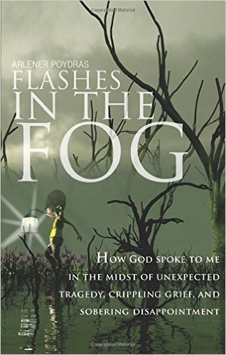Flashes in the Fog: How God Spoke to Me in the Midst of Unexpected Tragedy, Crippling Grief, and Sobering Disappointment