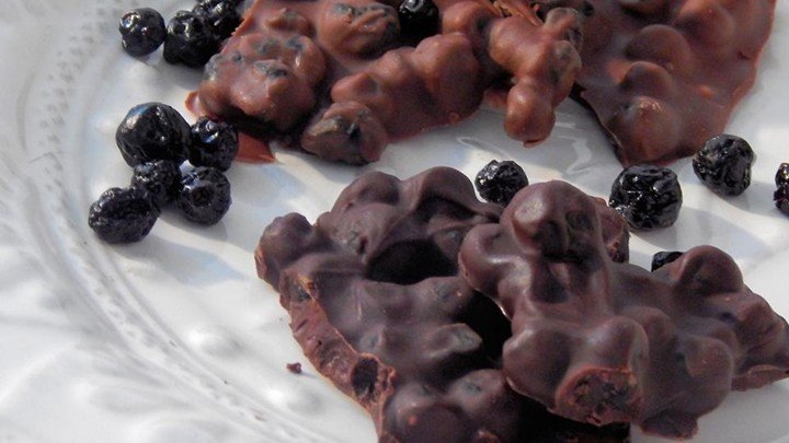 Chocolate Blueberry Bark