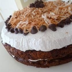 Quick Chocolate Chip Cake download