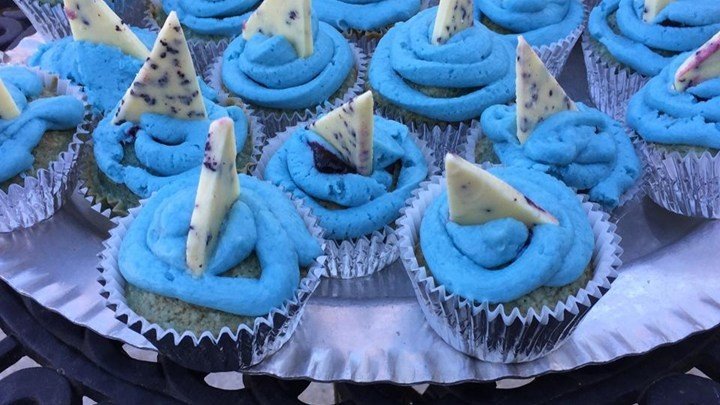 Shark Cupcakes