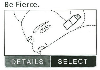 BE FIERCE. DETAILS SELECT recognize phone
