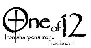 ONE OF 12 IRON SHARPENS IRON... PROVERBS 27:17