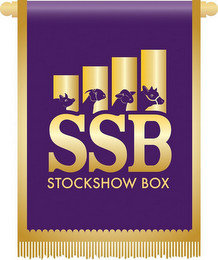 SSB STOCKSHOW BOX recognize phone