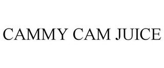 CAMMY CAM JUICE recognize phone