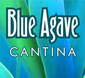 BLUE AGAVE CANTINA recognize phone
