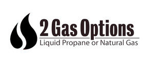 2 GAS OPTIONS LIQUID PROPANE OR NATURAL GAS
