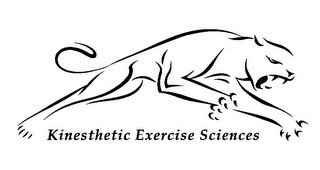 KINESTHETIC EXERCISE SCIENCES