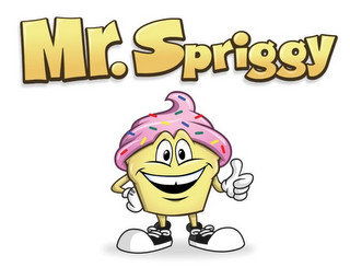 MR. SPRIGGY