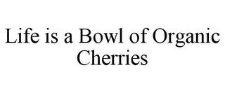 LIFE IS A BOWL OF ORGANIC CHERRIES recognize phone