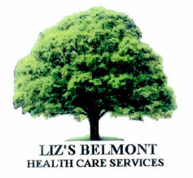 LIZ'S BELMONT HEALTH CARE SERVICES