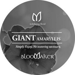 M REDEFINING FLORAL GIANT AMARYLLIS SIMPLY ENJOY. NO WATERING NECESSARY. BLOOMAKER