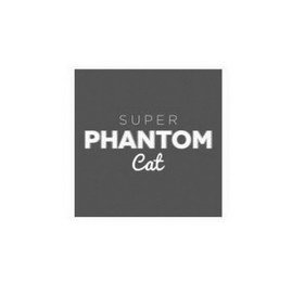 SUPER PHANTOM CAT