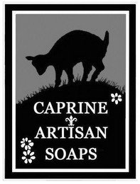 CAPRINE ARTISAN SOAPS