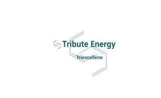 TRIBUTE ENERGY TRIEXCELLENE