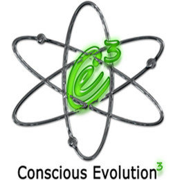 CE3, CONSCIOUS EVOLUTION 3