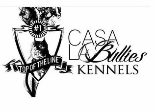 #1 TOP OF THE LINE CASA LA BULLIES KENNELS