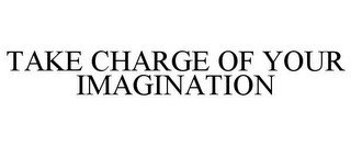 TAKE CHARGE OF YOUR IMAGINATION