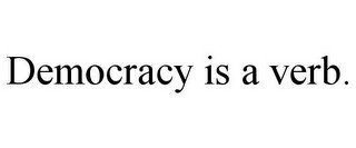DEMOCRACY IS A VERB.