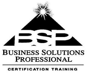 BSP BUSINESS SOLUTIONS PROFESSIONAL CERTIFICATION TRAINING