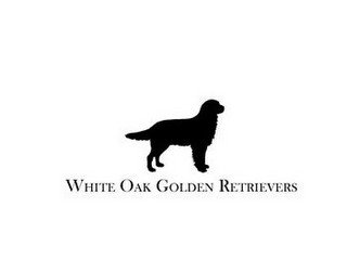 WHITE OAK GOLDEN RETRIEVERS