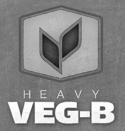 HEAVY VEG-B
