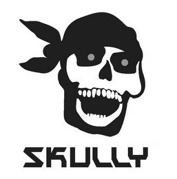SKULLY recognize phone