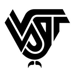 CURVED STRIPE STYLIZED LETTERS OF VST CONTAINS BOTH A LITERAL AND DESIGN ELEMENT