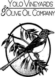 YOLO VINEYARDS & OLIVE OIL COMPANY